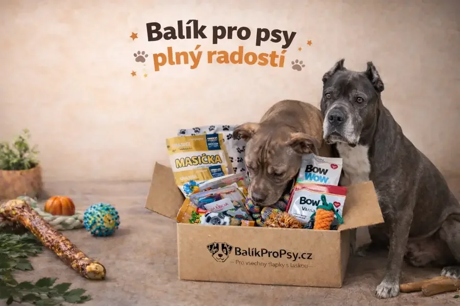 Dva psi u otevřeného balíku plného pamlsků, hraček a pomůcek